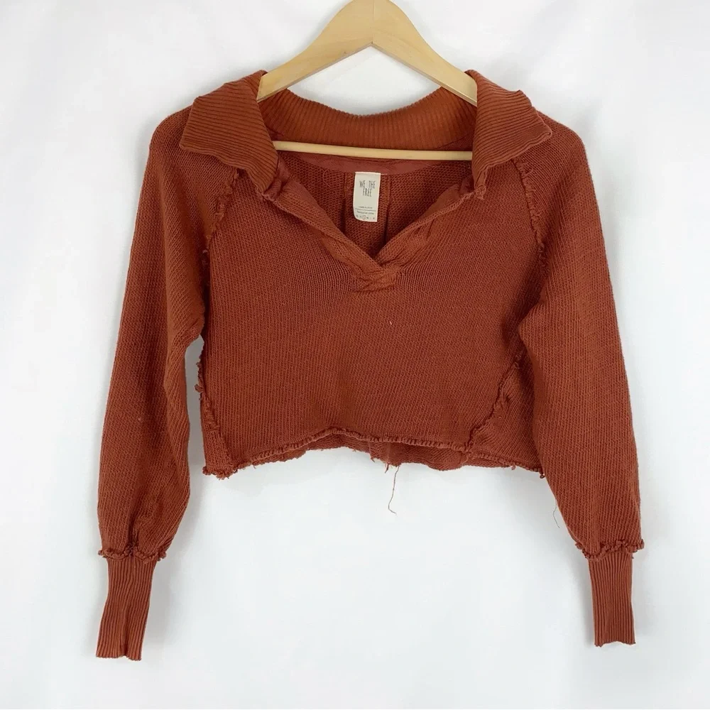 We The Free Darcy Cropped Sweater in Cedar